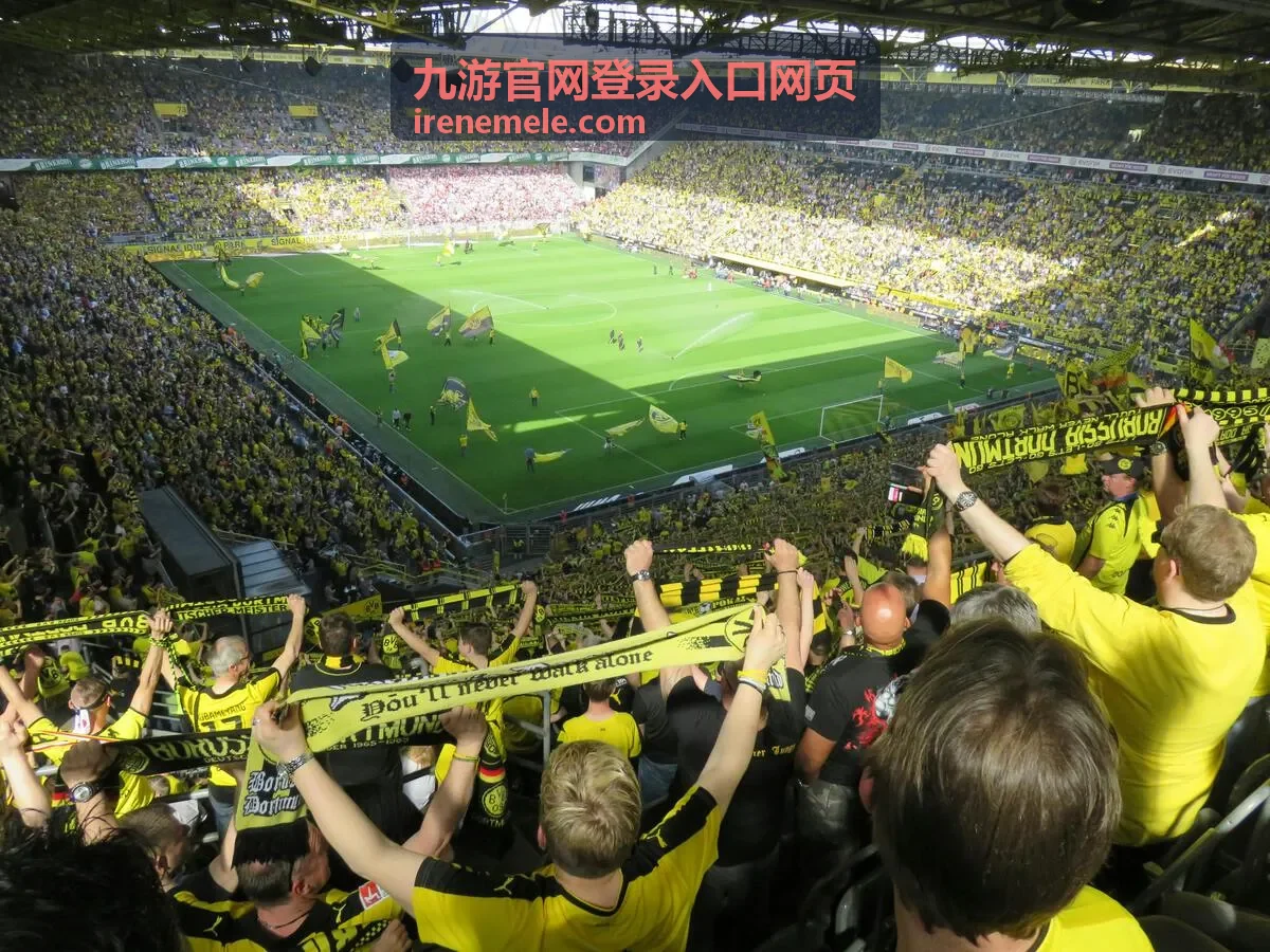 九游官网登录入口网页的异常提示处理配图